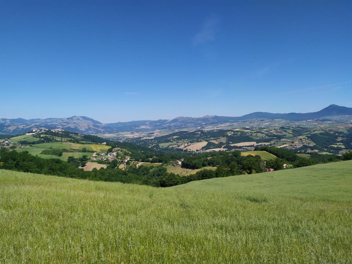 All Inbasilicata Bed & Breakfast Baragiano Kültér fotó